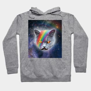 Moustached British blue cat Hoodie